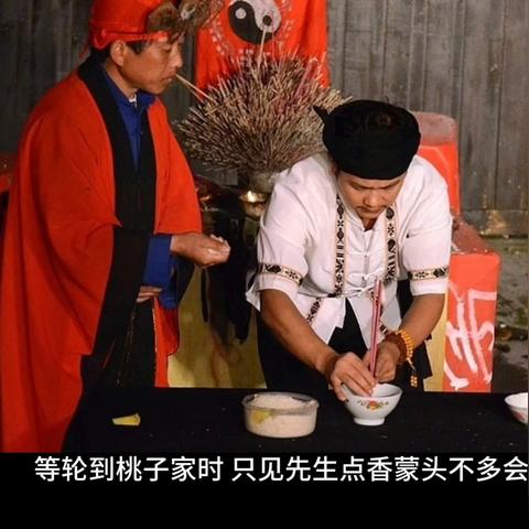 最新桃子故事大全视频