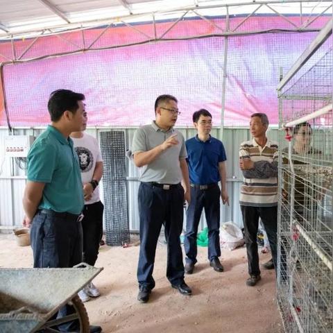 潭头房子买卖信息网最新动态——全面解析房地产交易趋势